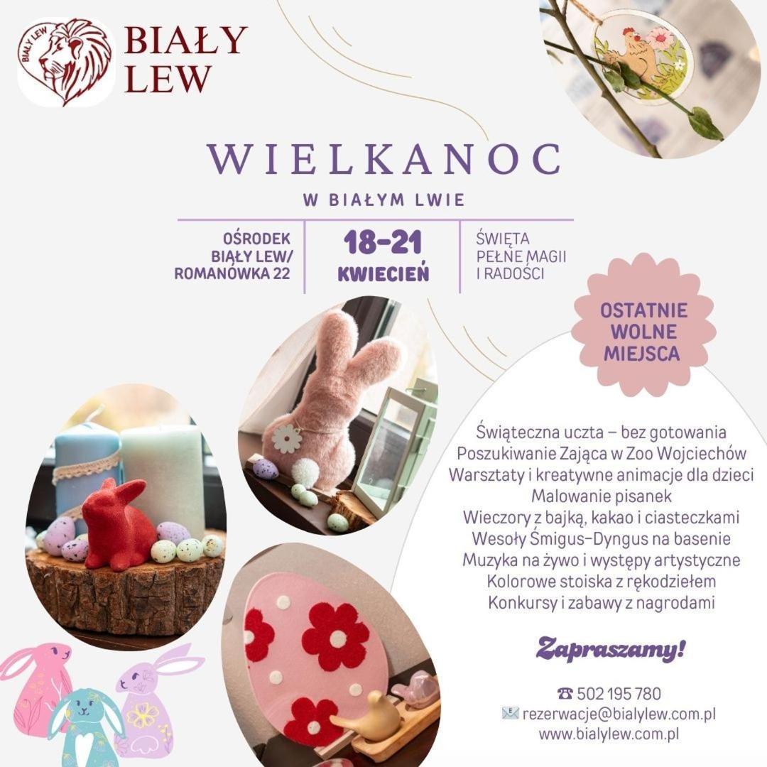 Osrodek Bialy Lew Bed & Breakfast Wojciechow  Екстериор снимка